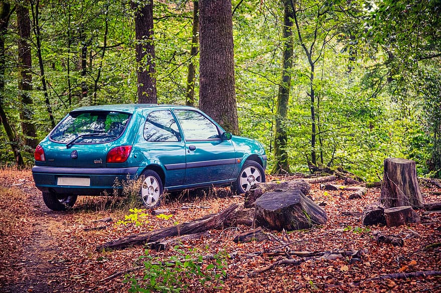 bosc, arbres, cotxe, vehicle, aparcament, viatge, naturalesa
