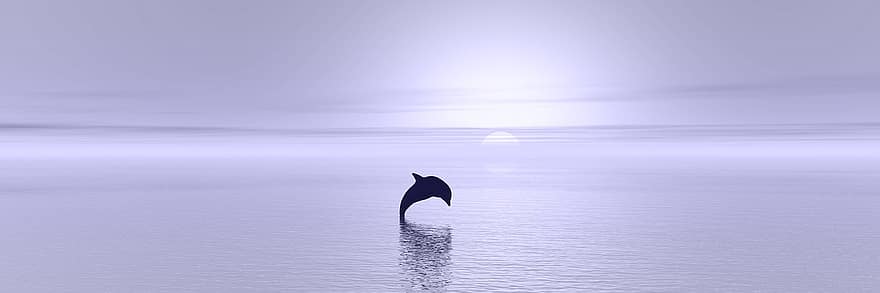 Sunset, Dolphin, Ocean, Silhouette, Reflection, Jumping, Marine Mammal, Icon, Dolphin Icon, Outline, Dolpin Outline