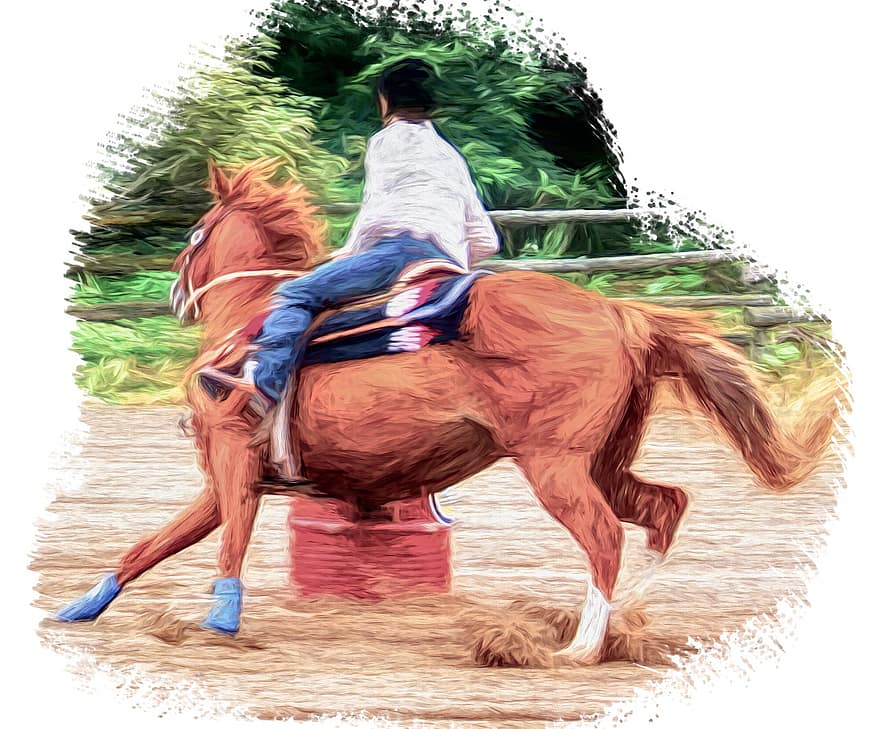 cavallo, equitazione, da corsa, equestre, animali, ragazza, mammifero, gli sport