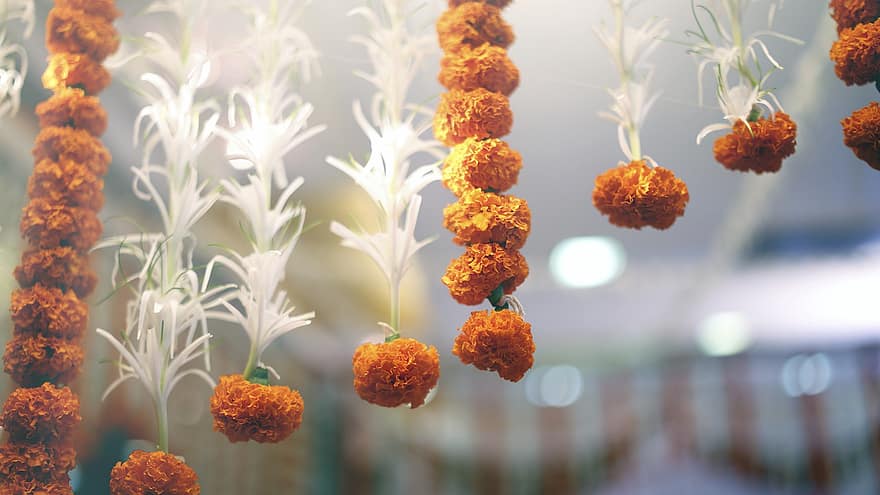las flores, pétalos, floral, hindú, vistoso, cordón, decoración