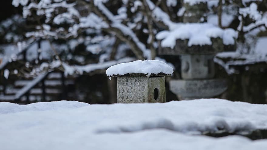 日本、寺院、冬、風景、自然、雪、シーズン、木、森林、氷、霜