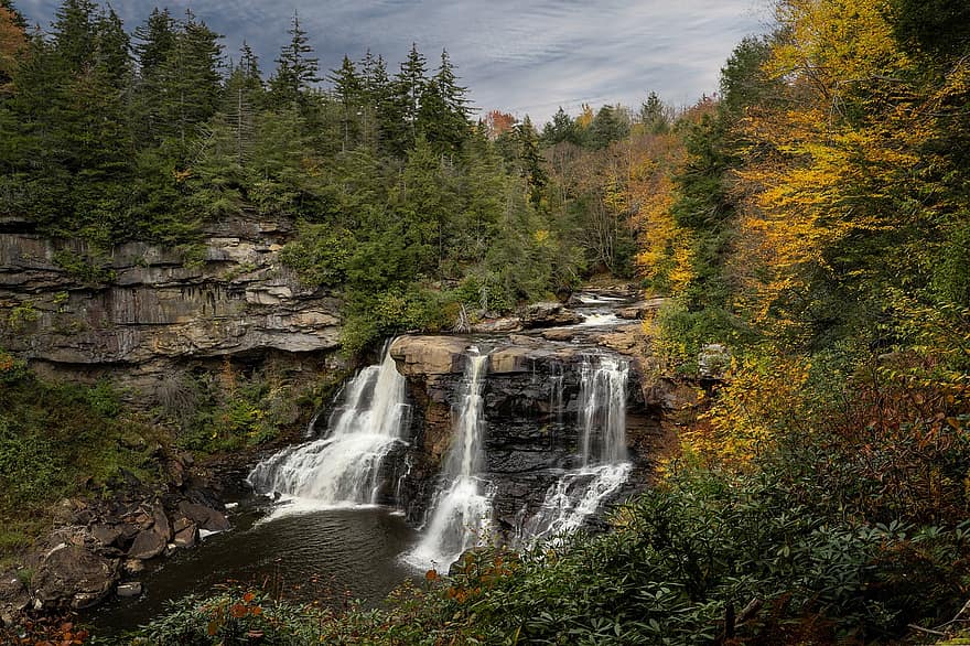 caídas de aguas negras, cascada, blackwater falls parque estatal, bosque, paisaje, naturaleza, Virginia del Oeste