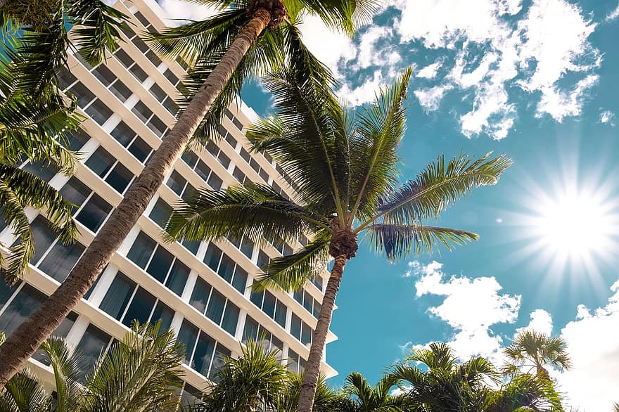 palmiers, Miami, ciel, des nuages, tropical