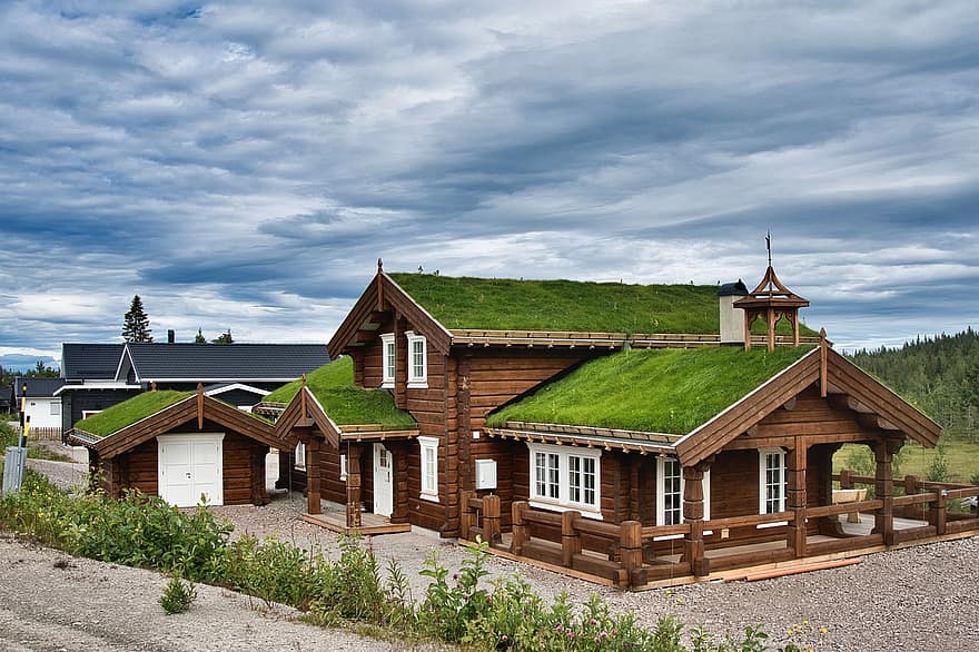 ski lodge, Casa, Tetto vivente, Cottage, tetto verde, architettura, innovativo, costruzione, area sciistica