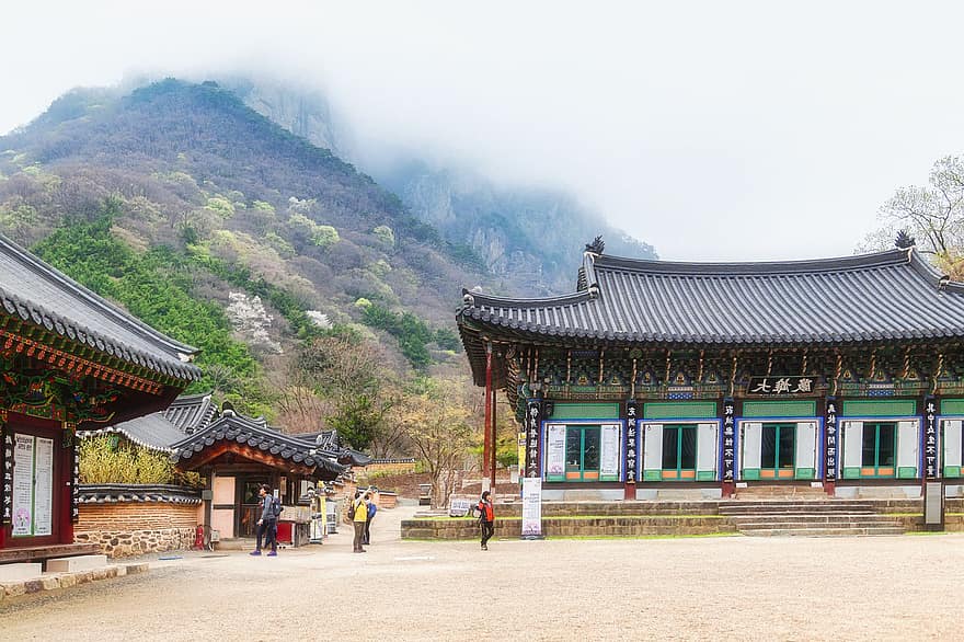 tempel, træer, buddhisme, bjerg, arkitektur, koreansk, traditionel, landskab, kulturer, berømte sted, rejse