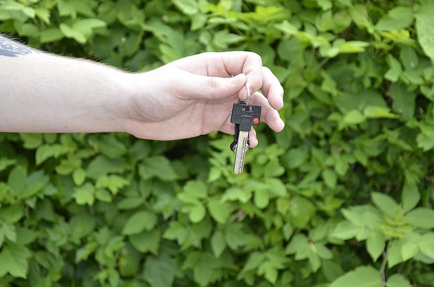 ключове, ръка, храст, кола