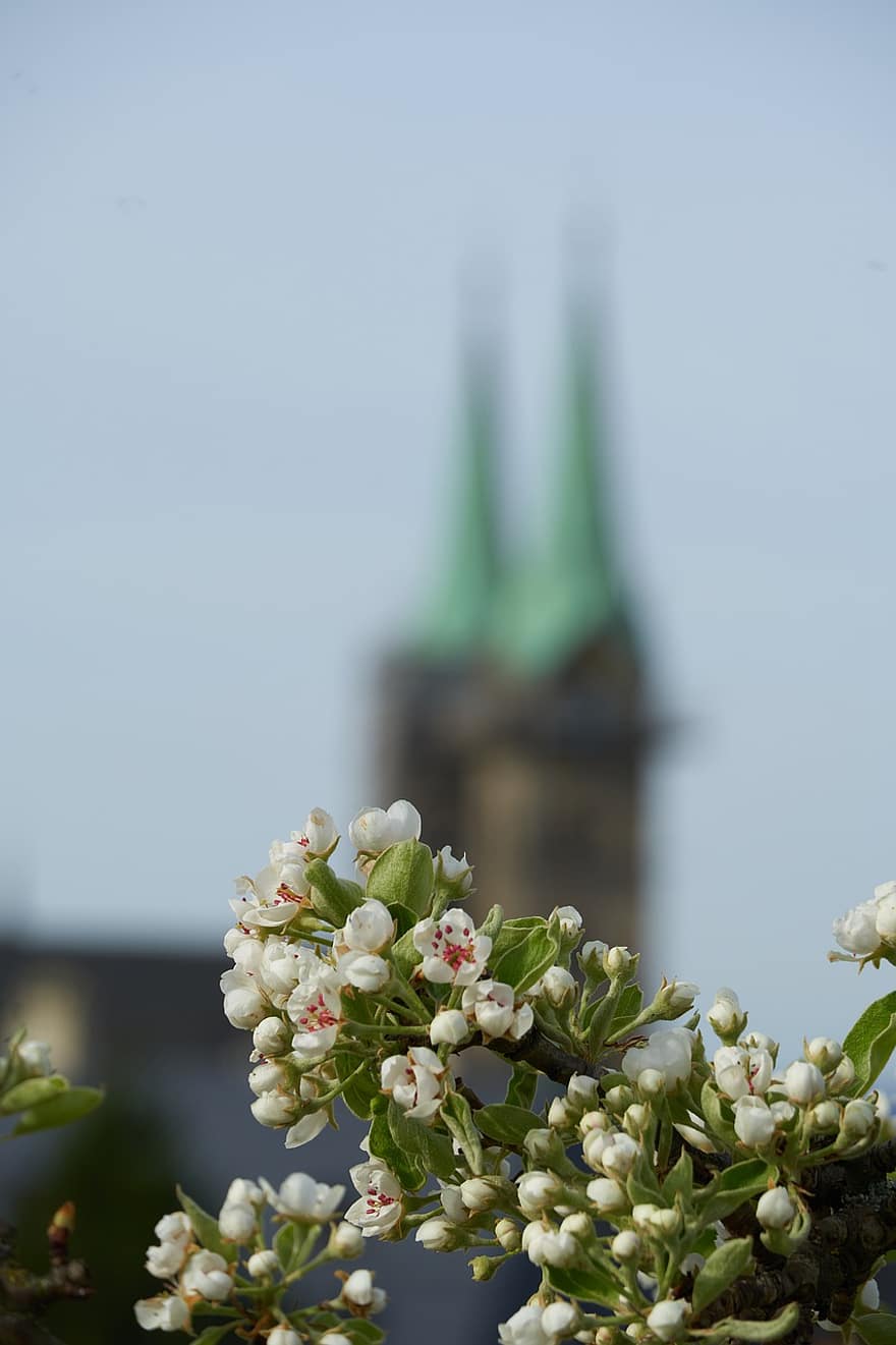 Iglesia, dom, edificio, jardín, arquitectura, Bamberg, primavera, flor