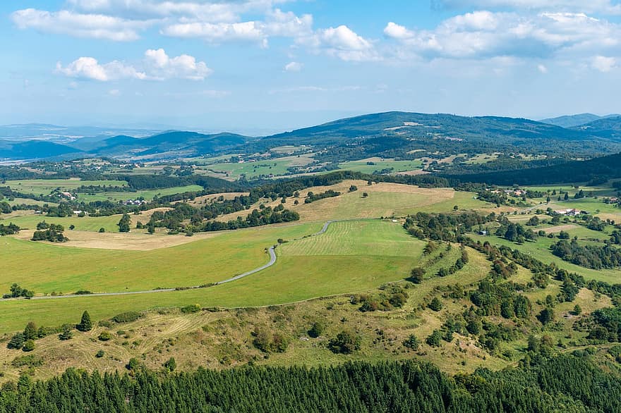 Road, Meadow, Forest, Aerial, Country, Countryside, Pole