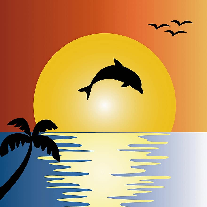 океан, залез, делфин, палмово дърво, птици, море, плаж, небе, здрач, изгрев, пейзаж