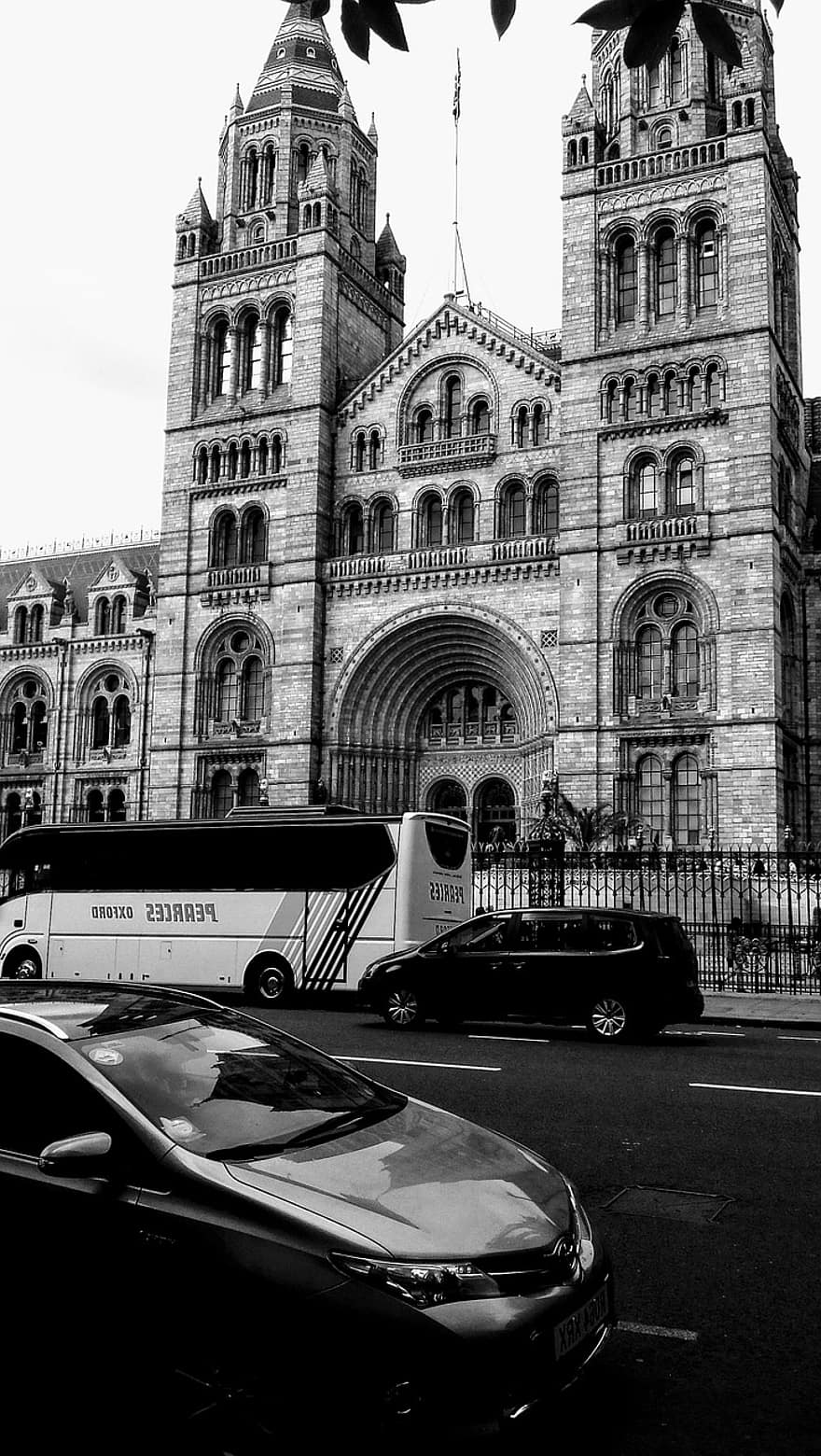 Museo di Storia Naturale, Londra, architettura, punto di riferimento, Museo, Architettura neogotica, auto, autobus, bianco e nero, traffico, modalità di trasporto