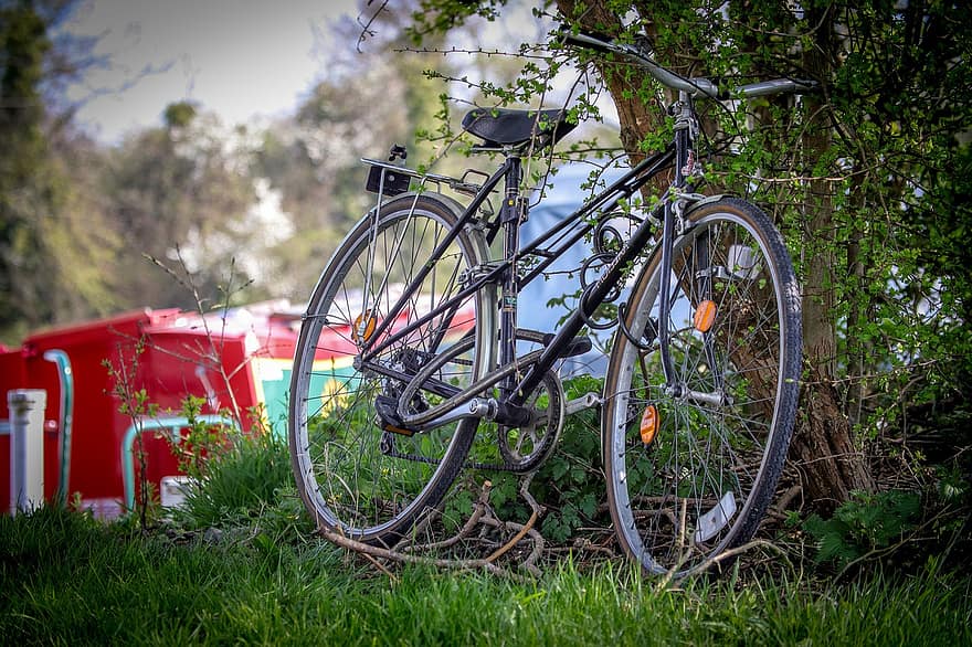 Bike, Bicycle, Cycling, Retro, Travel, Pushbike, Exercise, grass, summer, sport, transportation