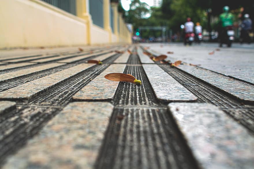 la carretera, hojas caídas, ciudad, pavimento, urbano, Saigon