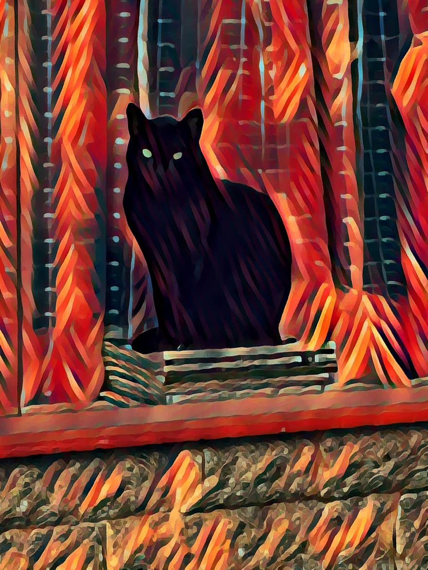 fredag ​​13, svart katt, katt ved vinduet, mystisk, mysterium, puslespill, hemmeligheten, flaks, gambling, formue, dyr