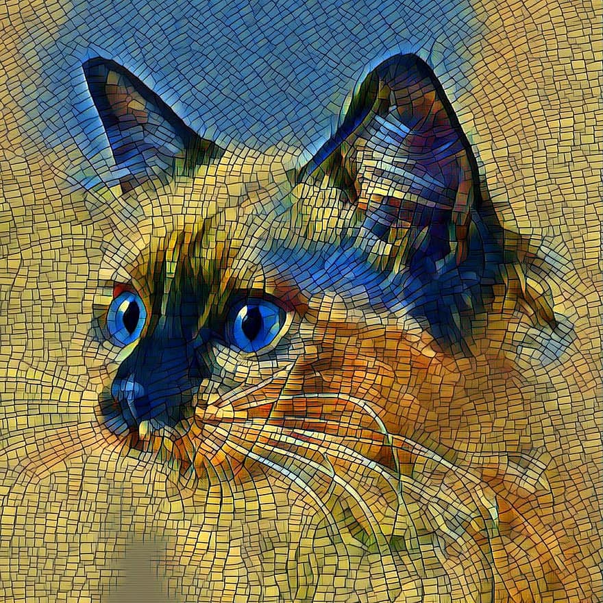 katt, gul, portrett, kjæledyr, feline, blå, mosaikk, dyr, kattunge, pus, øyne