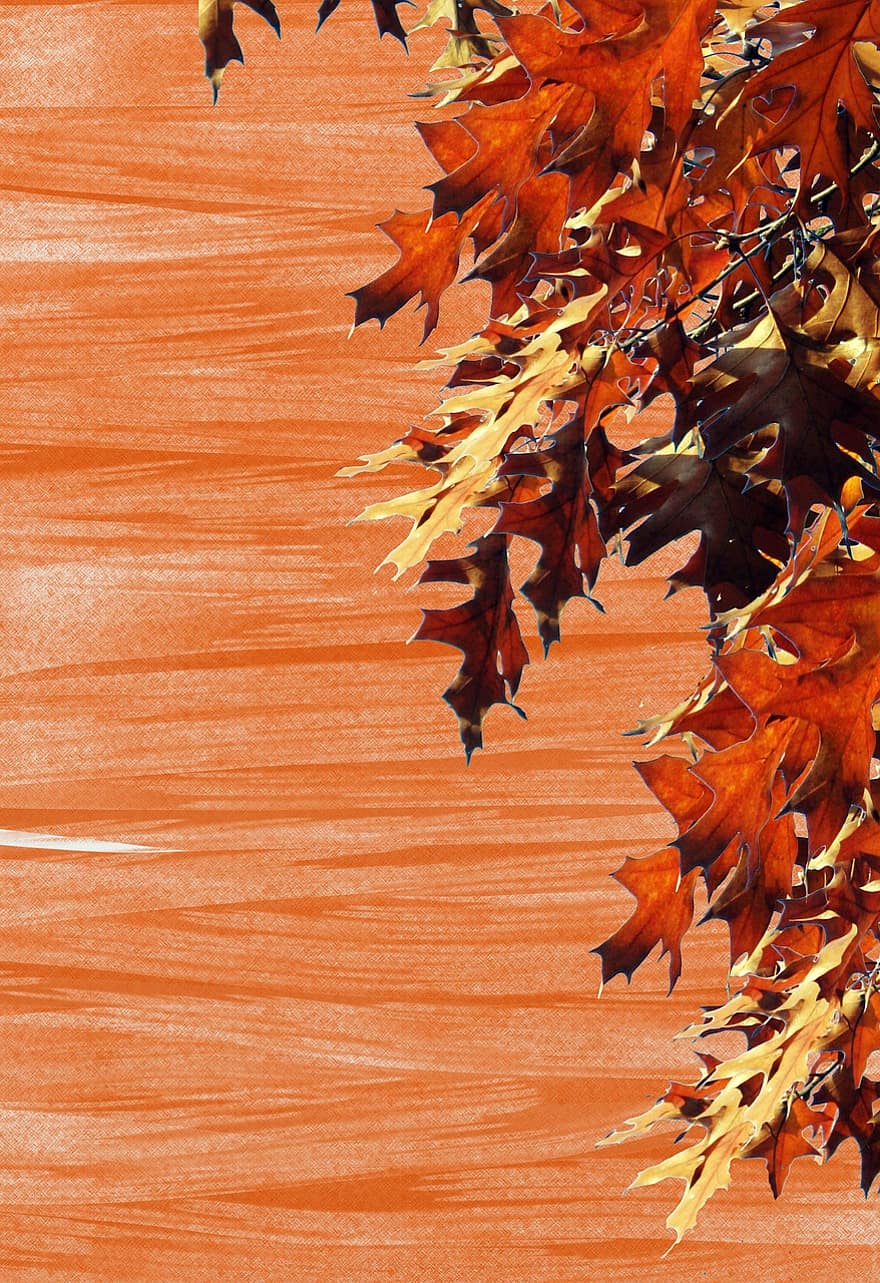 Emerge, Autumn, Background, Red, Oak, Oak Leaves, Leaves, Stationery, Greeting Card, Fall Color, Colorful