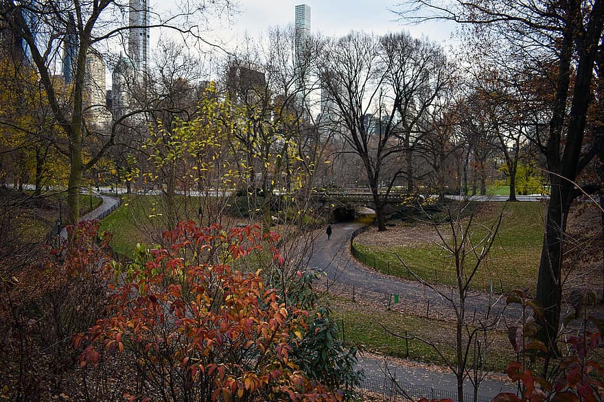 parc central, feuilles, tomber, parc, Manhattan, ville, New York, la nature, grattes ciels