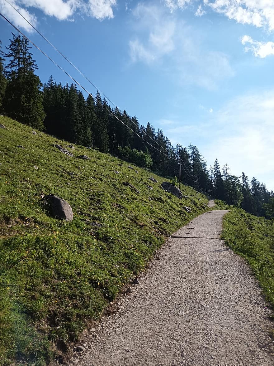 une randonnée, chemin, Piste, steinweg, alm, la nature, herbe, couleur verte, été, forêt, scène rurale