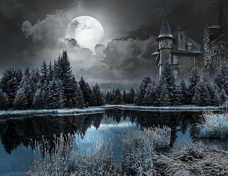 tło, zamek, fosa, Fantazja, pełnia księżyca, księżyc, sosny, drzewa, noc, las, drzewo