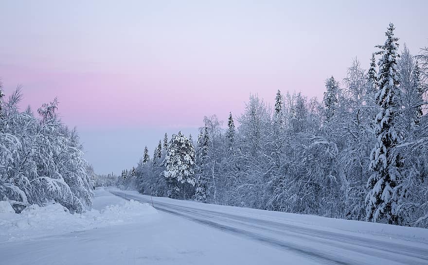 Droga, zimowy, Natura, śnieg, las