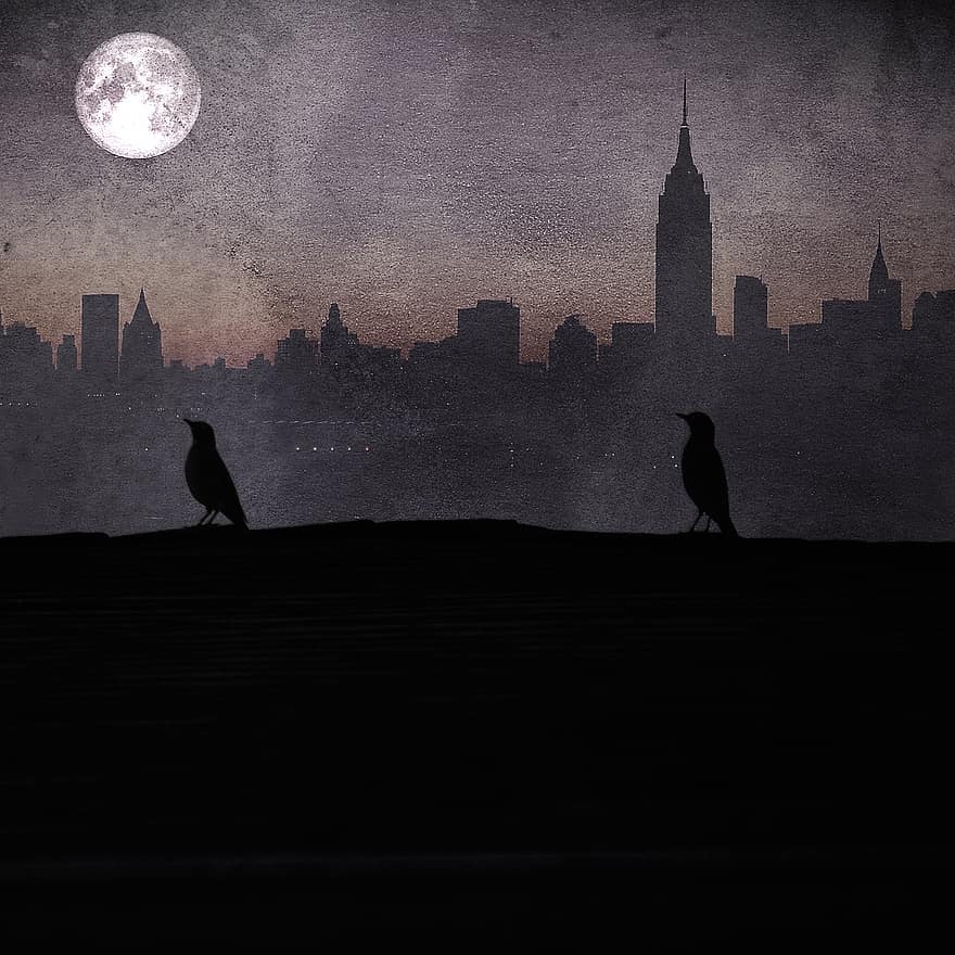 des oiseaux, toit, effrayant, mystérieux, ombre, silhouette, clair de lune