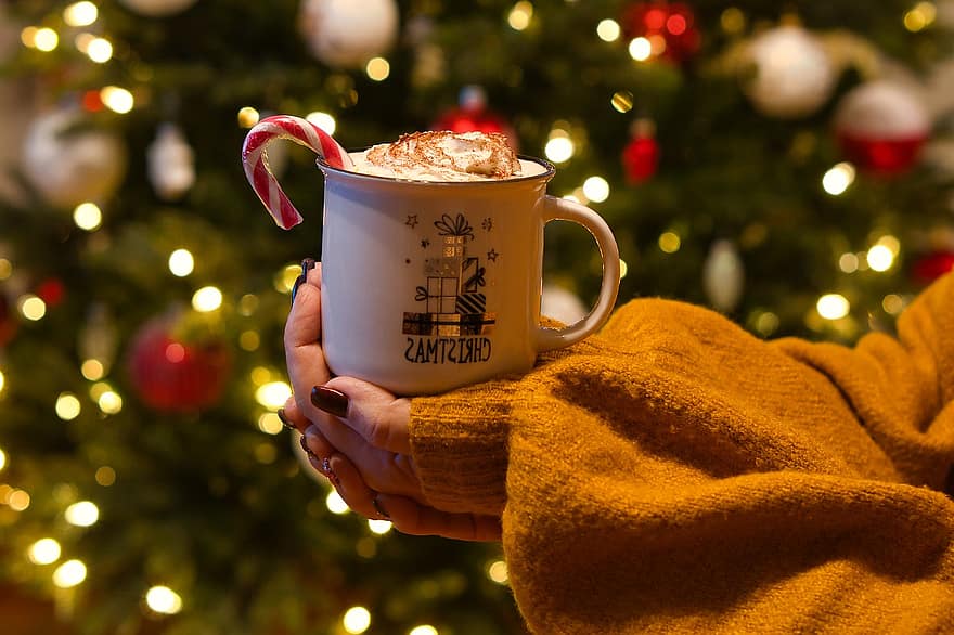 Hot Chocolate, Drink, Christmas, Cup, Christmas Drink, Beverage, Mug, Whipped Cream, Hot, Tasty, Delicious