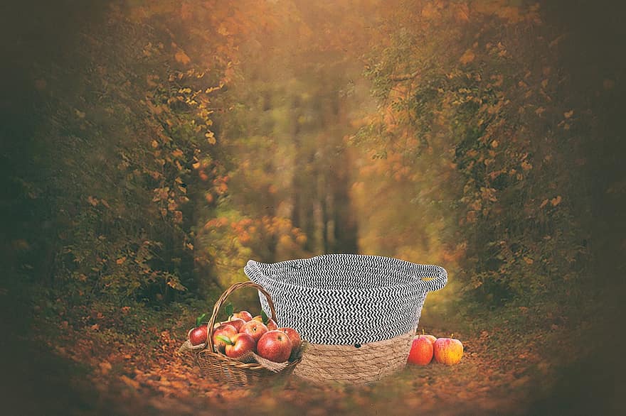 cesta, maçãs, colheita, outono, fundo digital, frutas, temporada, atmosfera, sai, folhas de outono, natureza