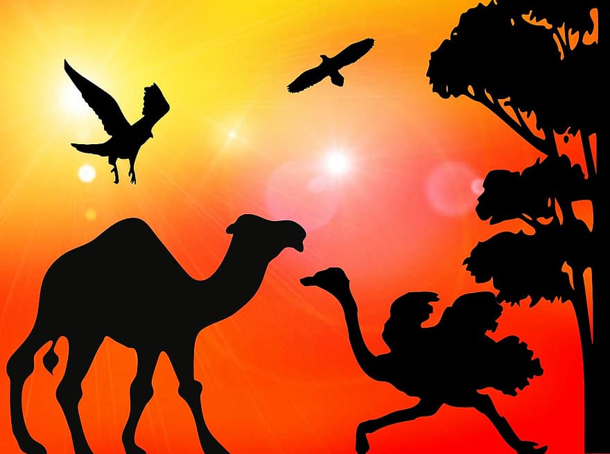 África, Dom, vacaciones, camello, ramo de flores, aves, fauna silvestre