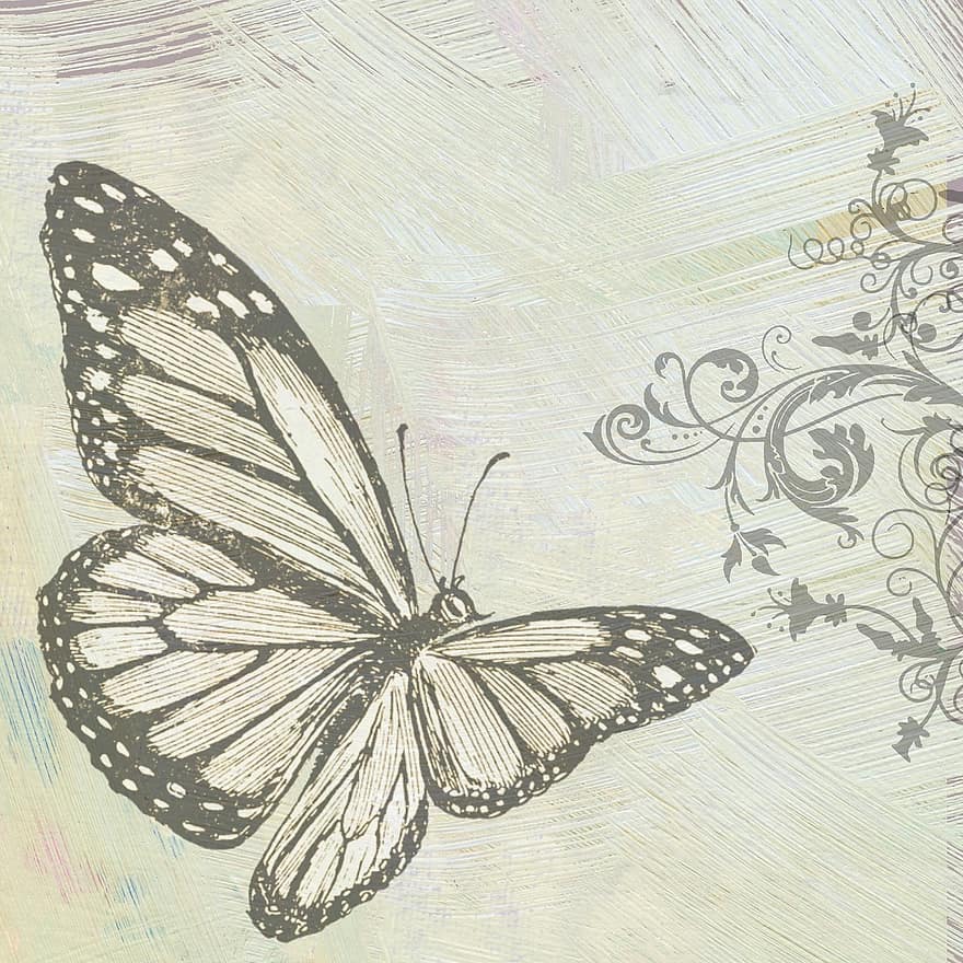 Butterfly, Color Scrapbook, White, Grey, Curls, Page, Design, Grunge, Vintage, Card, Decoration