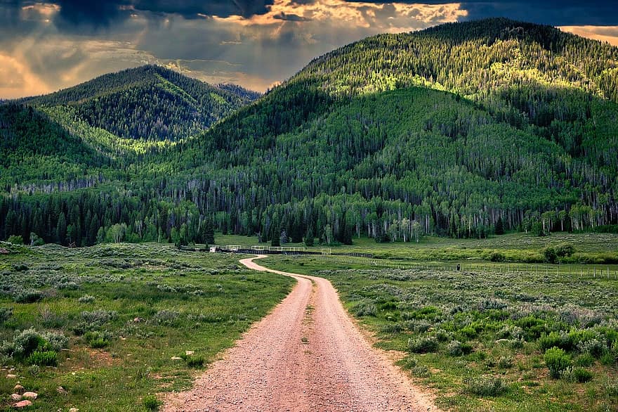 Dirt Road, Mountains, Forest, Trees, Field, Road, Country Road, Rural, Countryside, Canyon, Nature