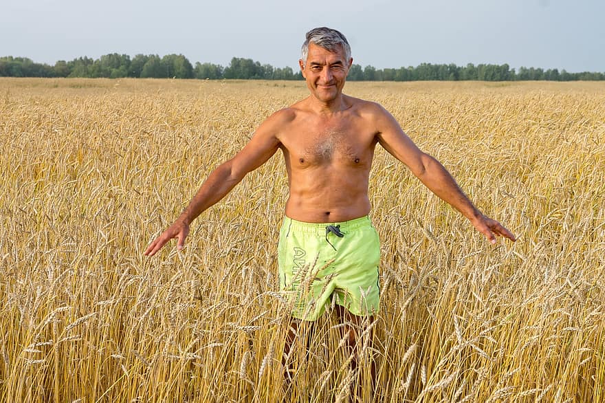 Man, Wheat Filed, Field, Nature, Siberia, Summer, Countryside, men, agriculture, one person, rural scene