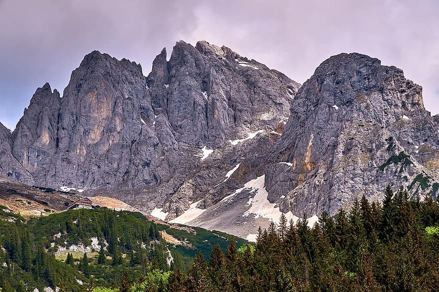 Alpen, bergen, rots, natuur, landschap, Bos, bergbos, Oostenrijk, reizen, hut