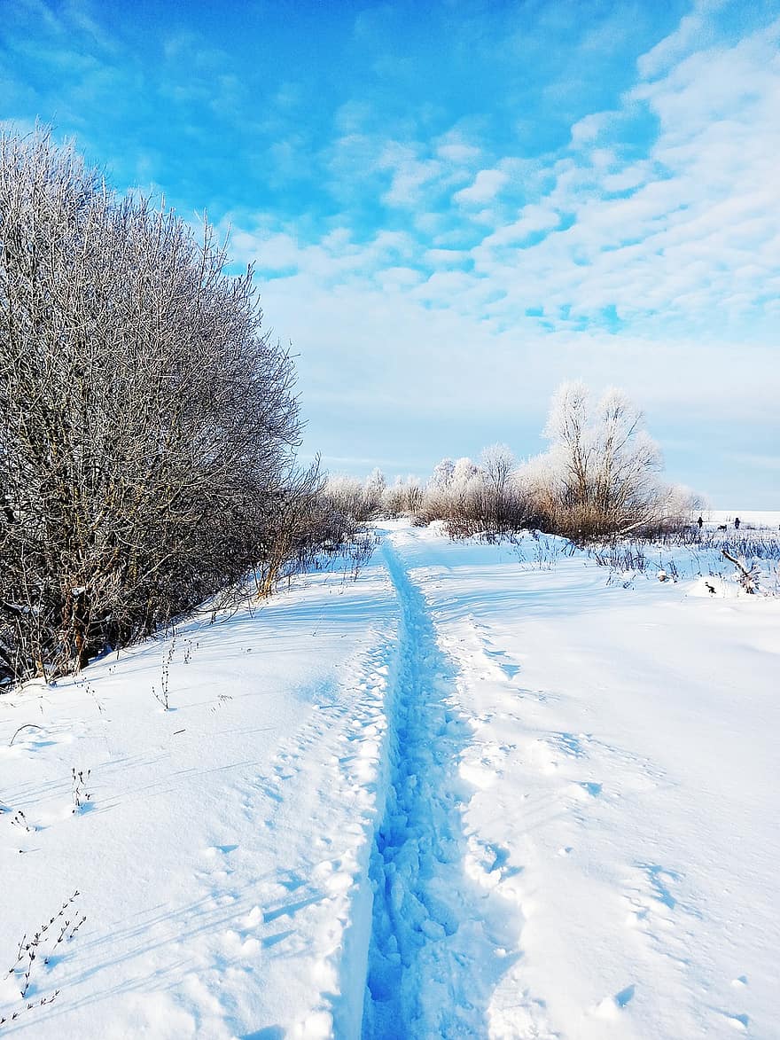 Natur, Winter, Jahreszeit, Schnee, Wald, Baum, Blau, Landschaft, Frost, Eis, ländliche Szene