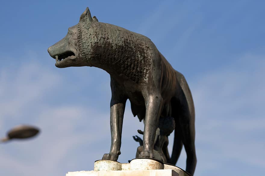 скулптура на вълци, Статуя на вълк, Паметник на вълк, вълк, римска скулптура
