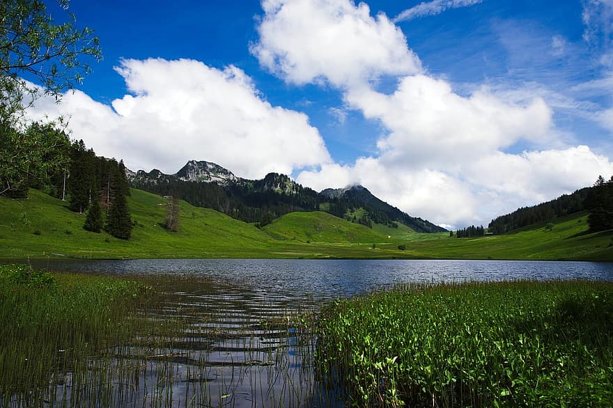 lago, estanque, pantano, humedal, montañas, Alpes, primavera, cielo, verano, color verde, paisaje