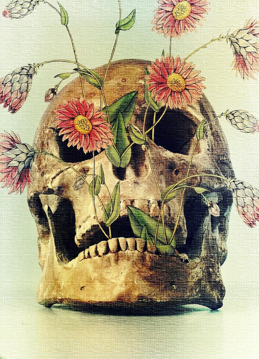kematian, tengkorak, bunga-bunga, kefanaan, tulang, kerangka, gelap, kepala