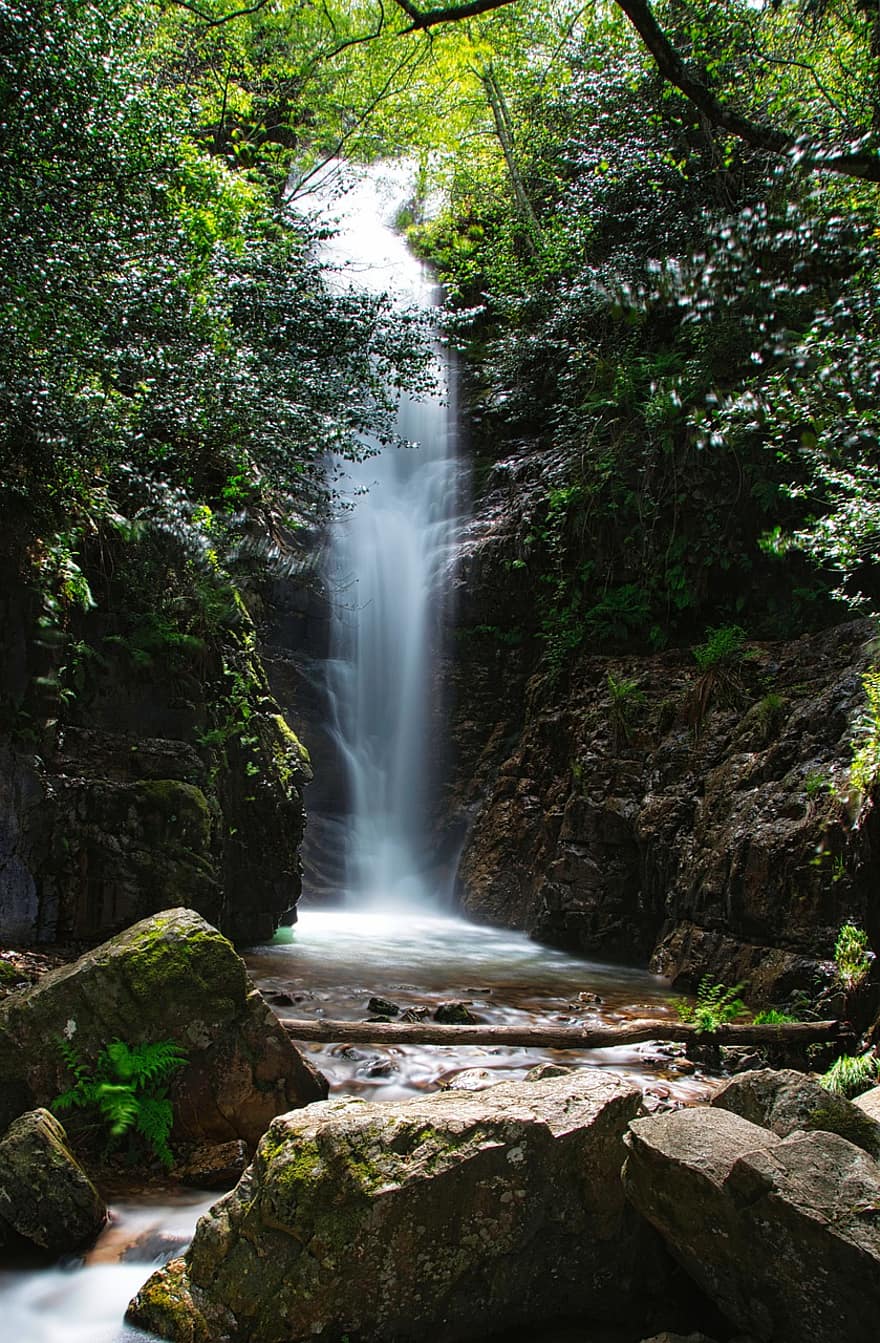wodospad, park narodowy cabaneros, las, cabañeros, Hiszpania, krajobraz, zielony kolor, woda, skała, płynący, Tropikalne lasy deszczowe