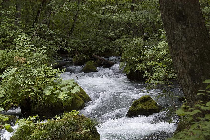 поток, река, водопад, скали, гора, гори, естествен, дърво, зелен цвят, вода, пейзаж