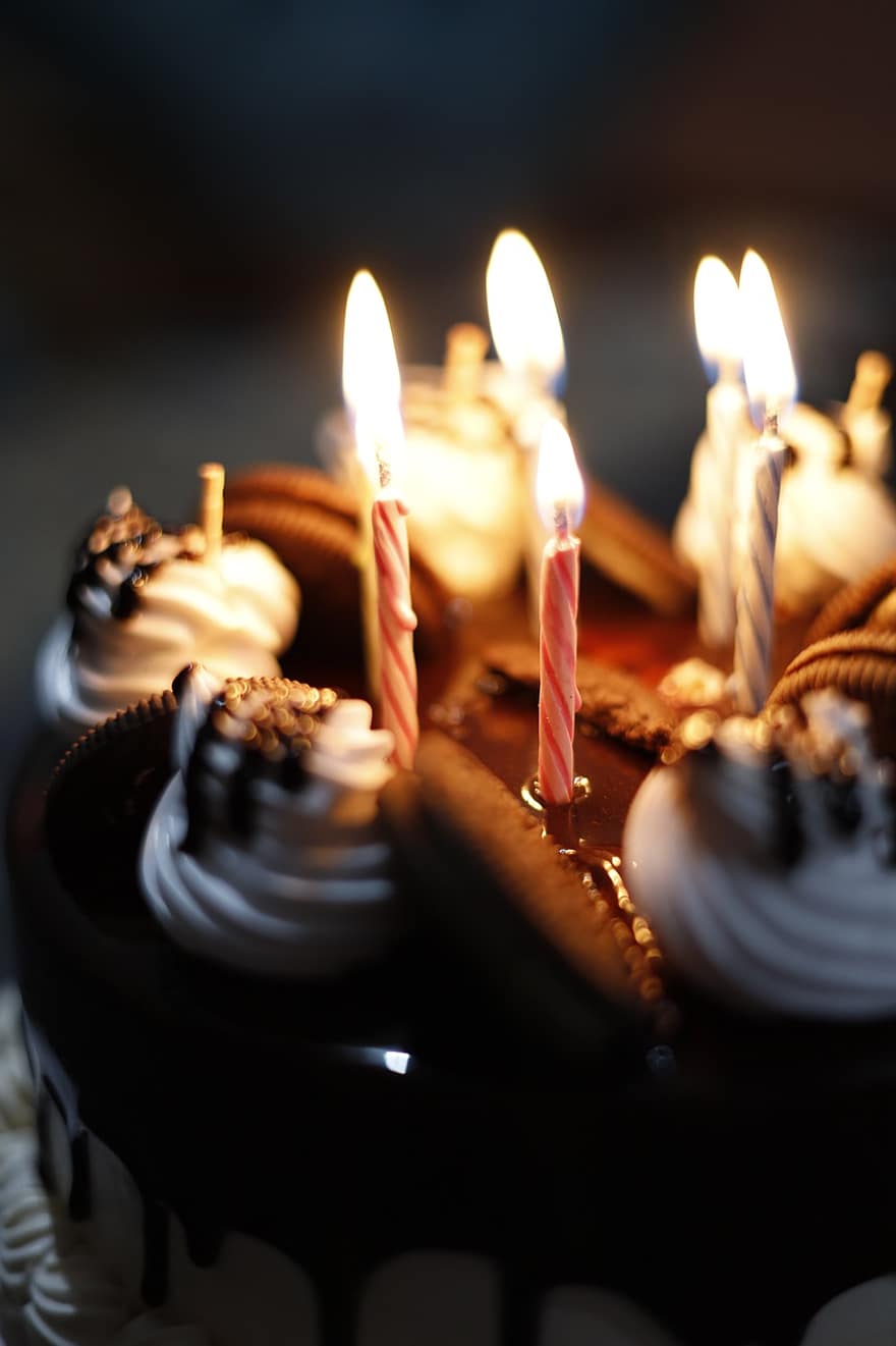 bolo, velas, aniversário, pastelaria, chocolate, luz de velas, bolo de chocolate, sobremesa, biscoitos, bolacha, Comida