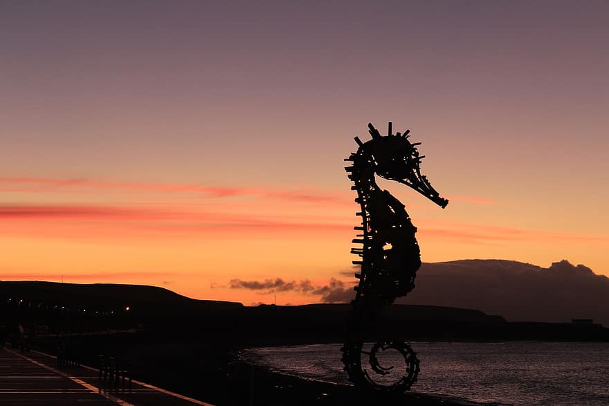 Sunset, Sea, Seahorse, Canary Islands, Spain, silhouette, dusk, sun, back lit, sunrise, dawn