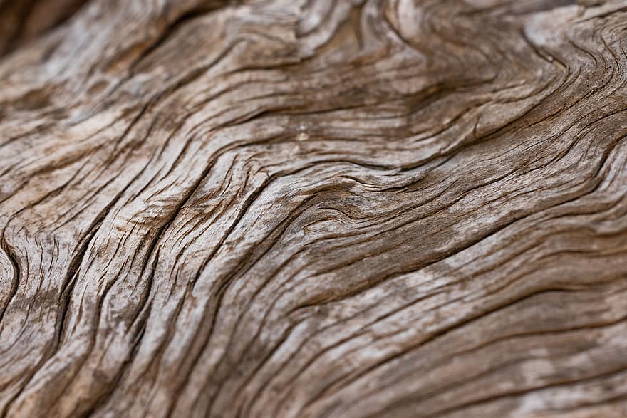 drewno, drzewny, drewniany, polano, papierowa chusteczka, wzór, abstrakcyjny, stary, tło