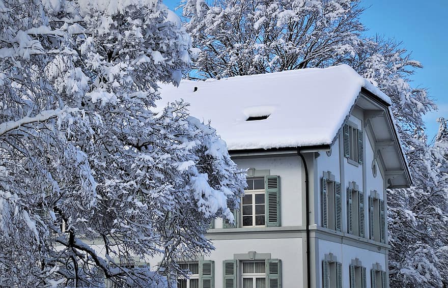 balti medžiai, užšaldyti, snieguotas, fasadas, langinės, palangė, žiemą, sniegas, stogo. \ t, švyti, namas