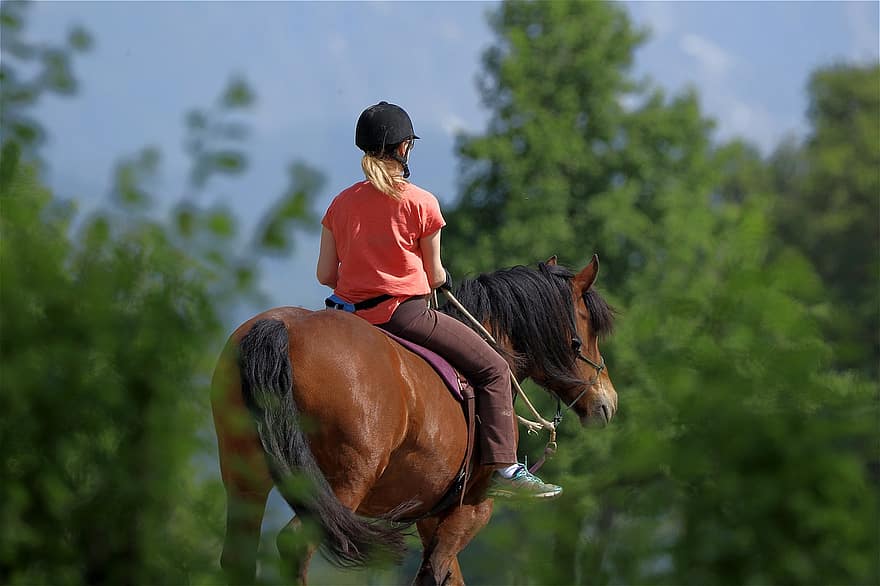 hesteridning, kvinne, hest, ride, natur, Ri ut, hestehale, fritid