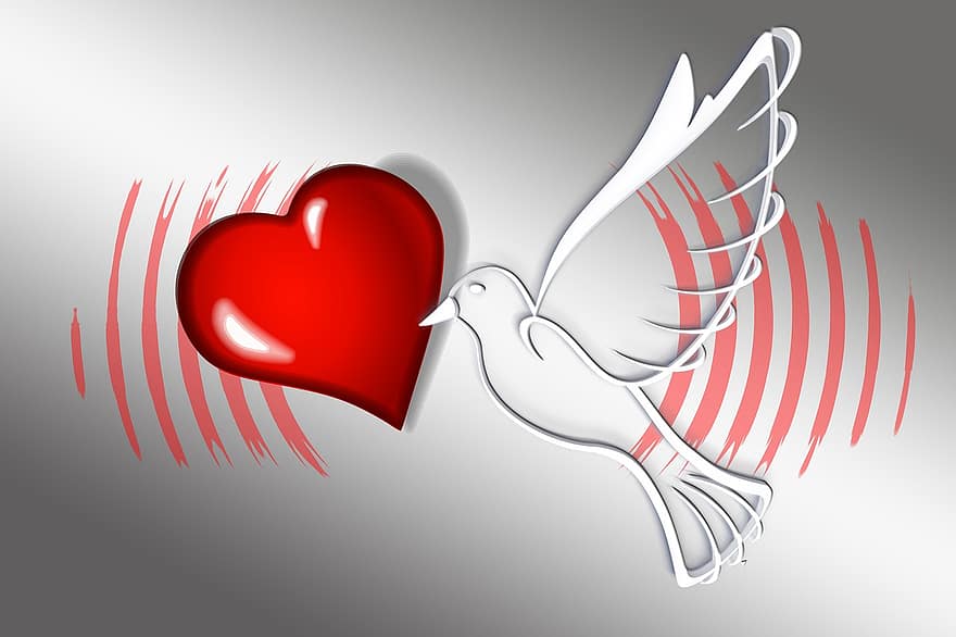 globaal, duif, liefde, hart-, genegenheid, harmonie, vredesduif, wereldvrede, vliegend, samen, vriendschap
