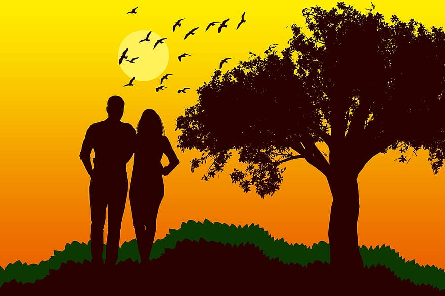 coppia, silhouette, tramonto, sole, amore, insieme, albero