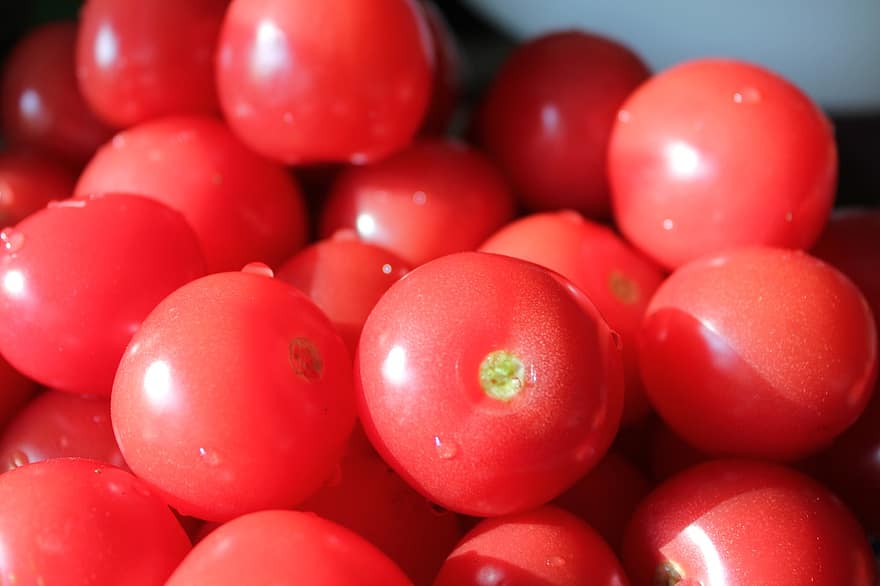 tomate, rojo, micro