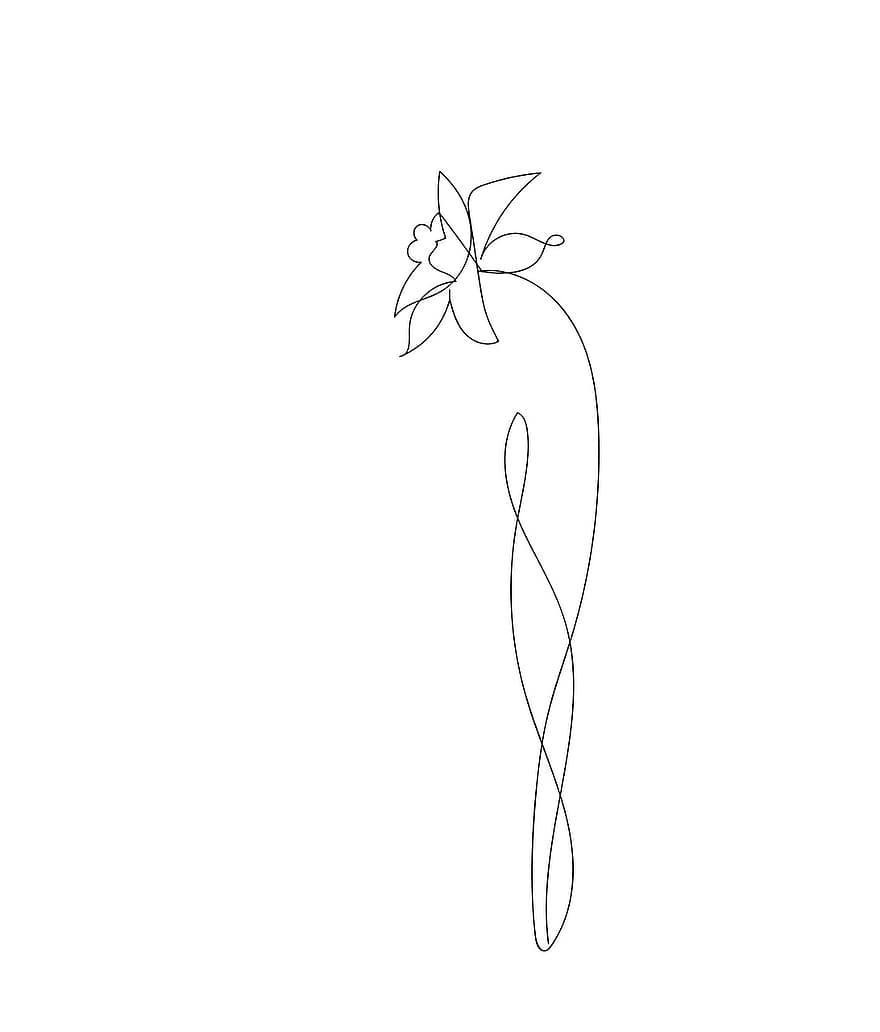 blomma, påskliljor, Narsis, vår, ritning, teckning, linje, dekorativ, blad, illustration, vektor