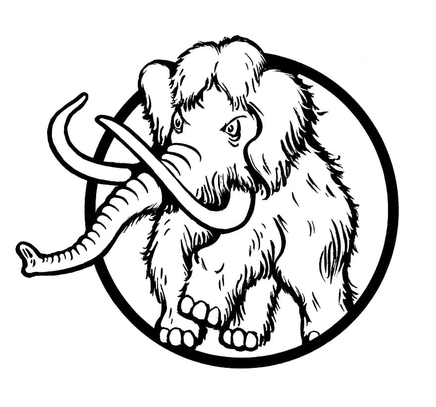 mamut, słoń, silny, czarny i biały, naszkicować