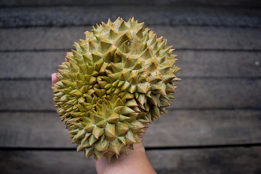 durian, owoce, jedzenie, egzotyczny, Malezja