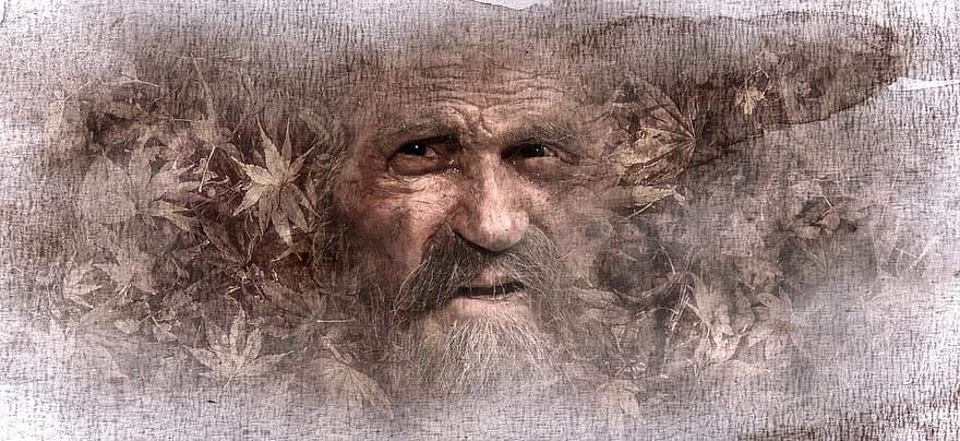 Portrait, Man, Old, Face, Leaves, Texture, Sepia, Bart, Person, Fold, Human