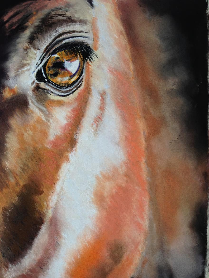 حصان ، عين ، رسم قلم باستيل ، فرسي ، حيوان ، راس الحصان